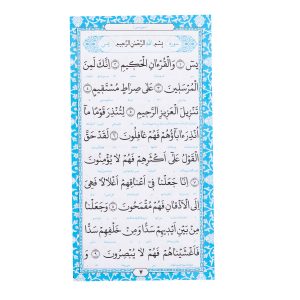 مفاتیح جلد پالتویی مدل 43518